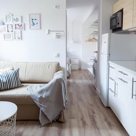 Charming Madrid Lofts-3